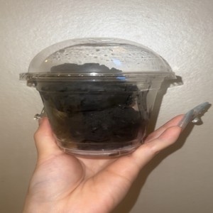 Banana Pudding Pint (16oz)